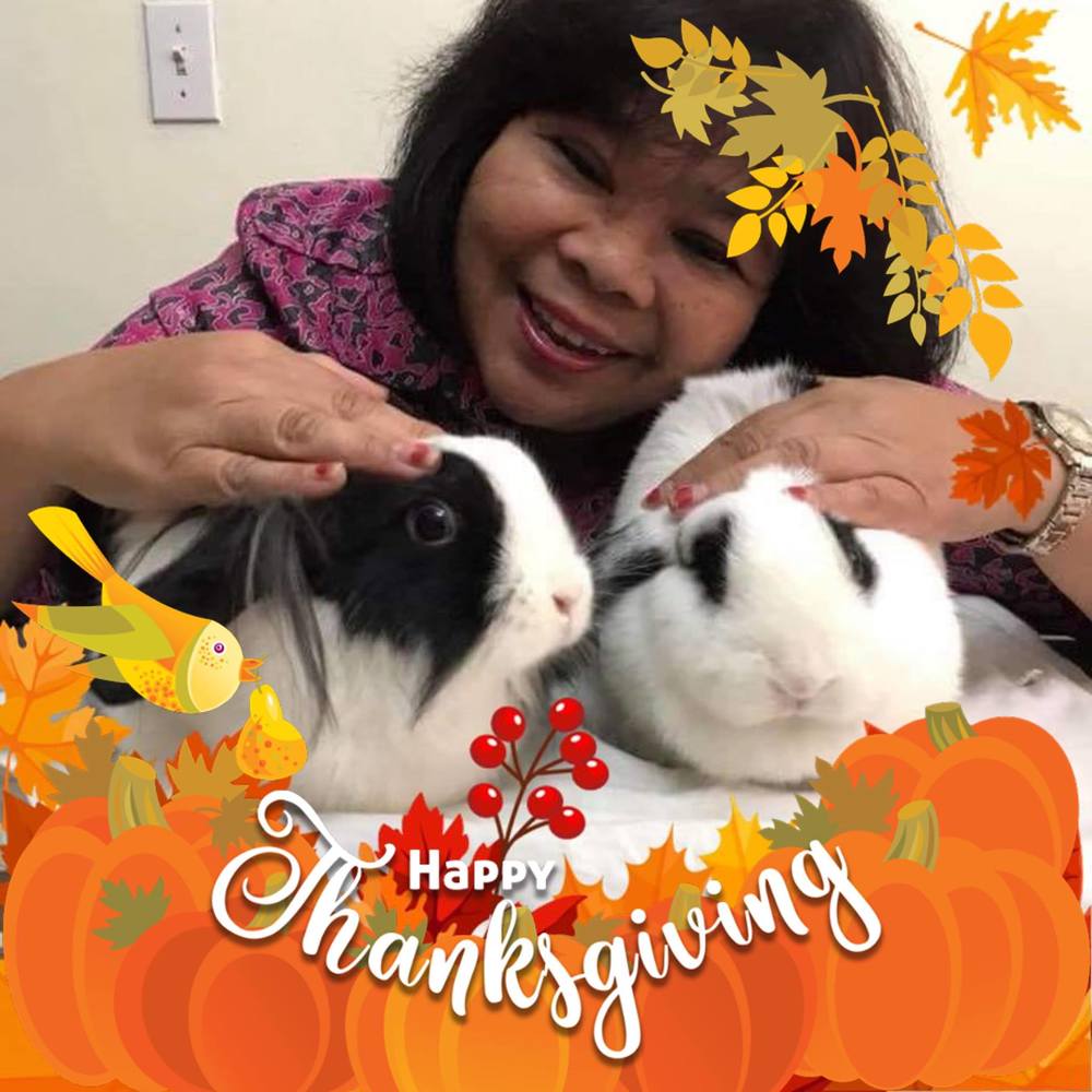 Meet your Posher, Cecilia